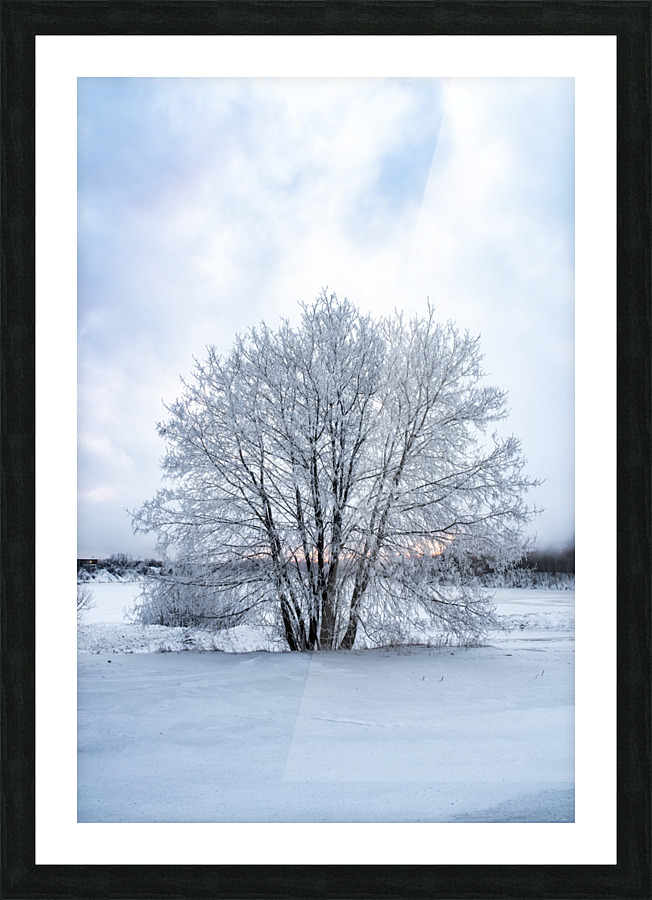 Frosty Tree Picture Frame print