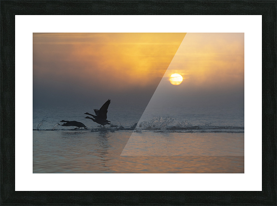Lift Off Picture Frame print