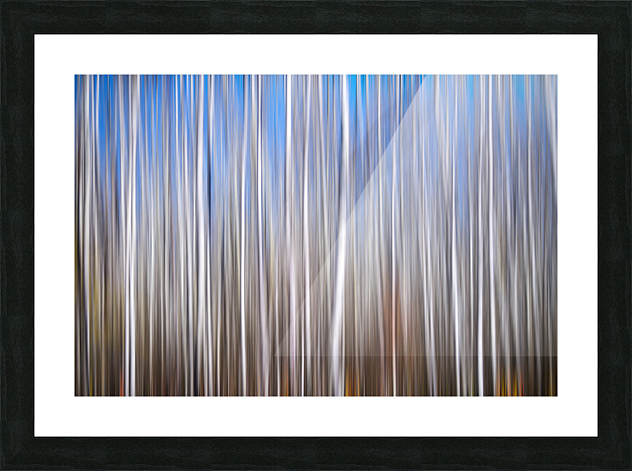 Birchwood Picture Frame print