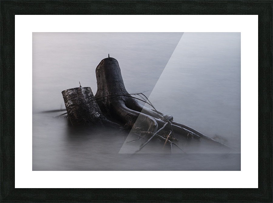 Just Chillin Picture Frame print