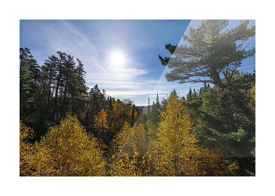 Fall Scene Picture Frame print