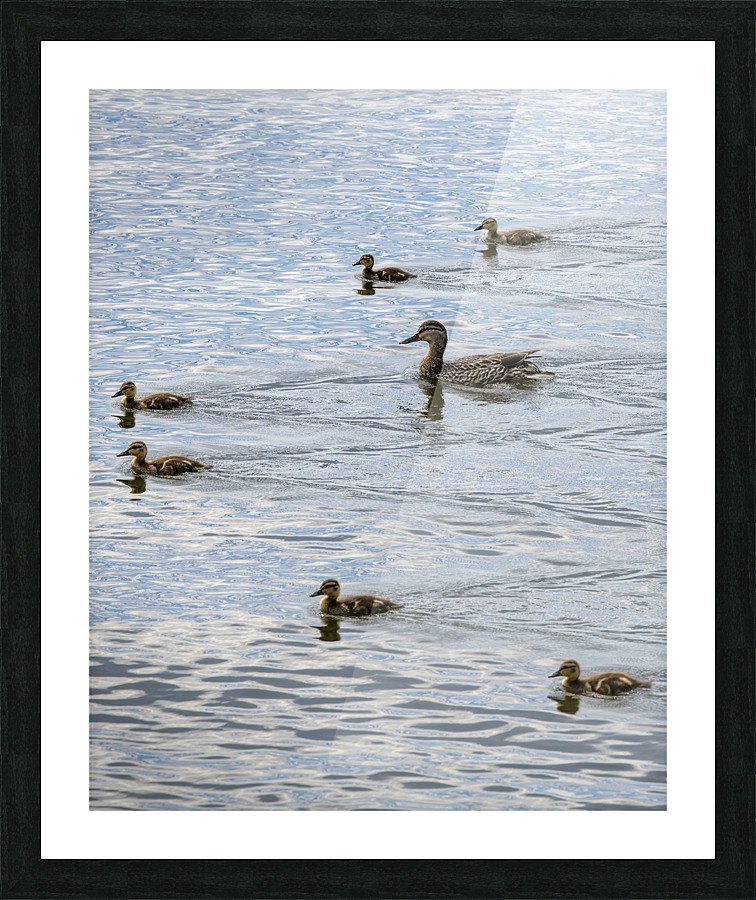 Flying V Offense Picture Frame print