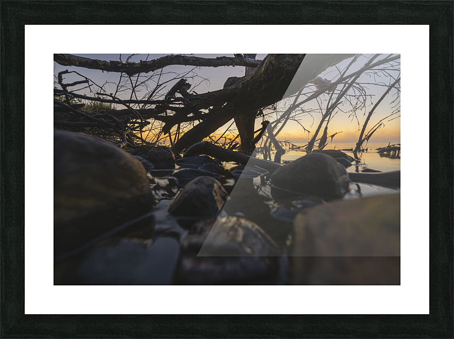 Fallen Sunrise Picture Frame print