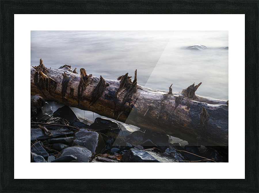 Water Logged Picture Frame print