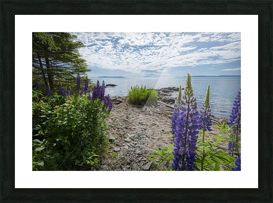 Shoreline Picture Frame print
