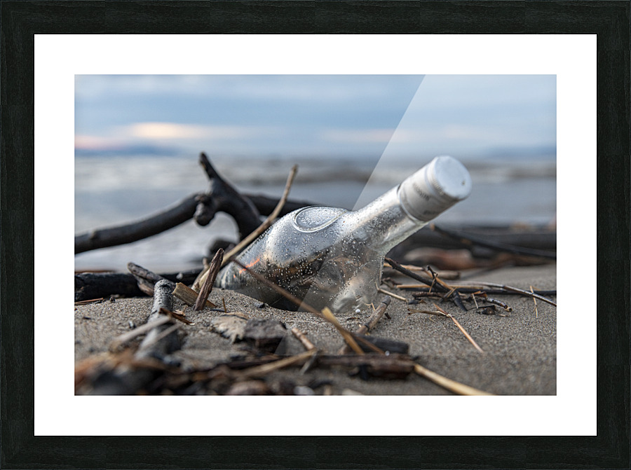 The Bottle Picture Frame print
