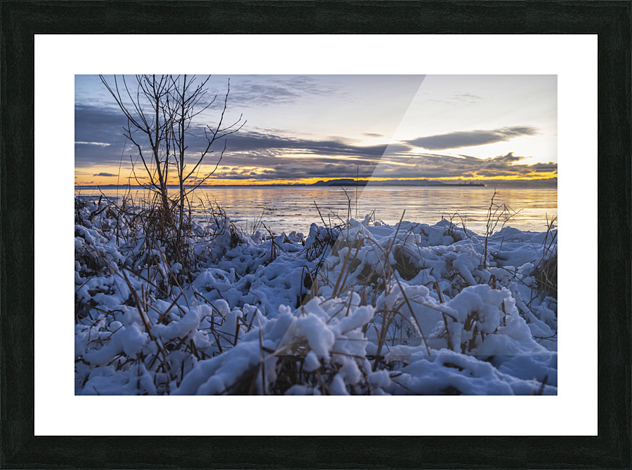 Snow Covered Grass Picture Frame print
