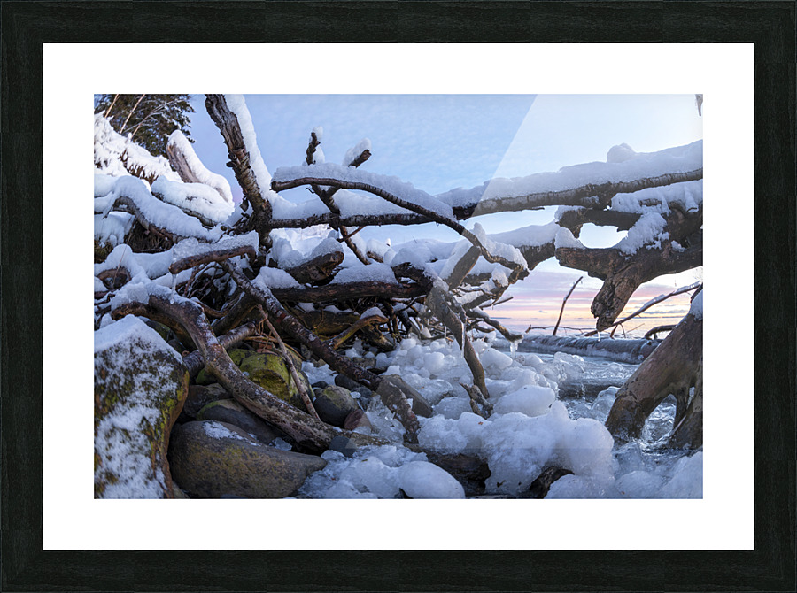 All Tangled Picture Frame print
