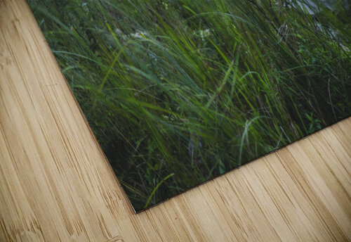Blue Morning Blair Wright puzzle