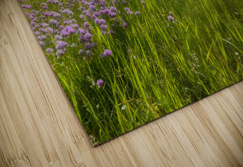 Flowers  The Giant Blair Wright puzzle
