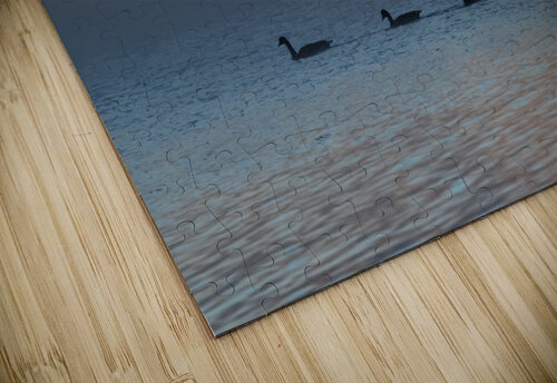 Ducks At Sunrise Blair Wright puzzle