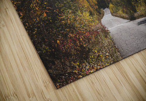 Fall Road Blair Wright puzzle