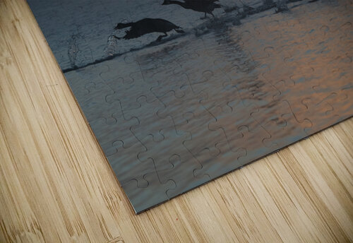 Lift Off Blair Wright puzzle