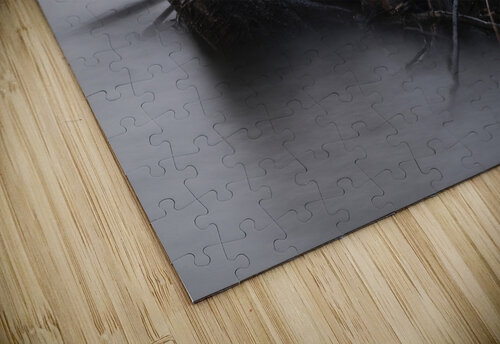 Just Chillin Blair Wright puzzle