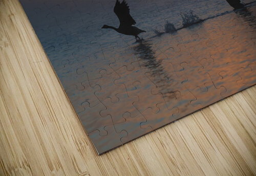 Canada Goose Taking Flight Blair Wright puzzle