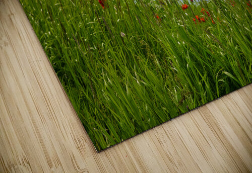 2022 Poppies Blair Wright puzzle