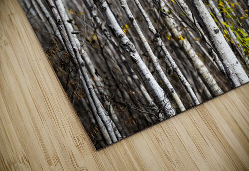 Birch Blair Wright puzzle