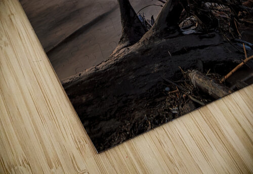 Sunrise Blair Wright puzzle