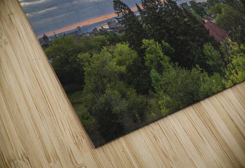 Mid August View Blair Wright puzzle