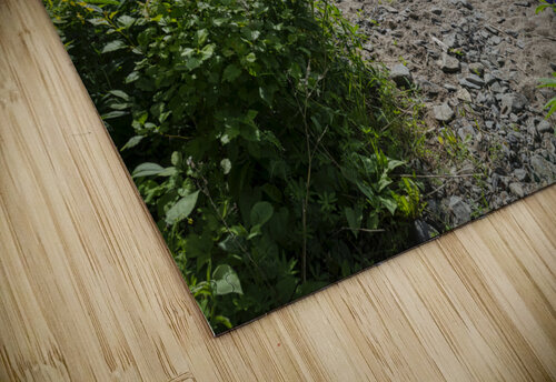 Shoreline Blair Wright puzzle