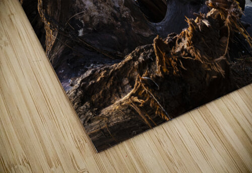 Roots Blair Wright puzzle