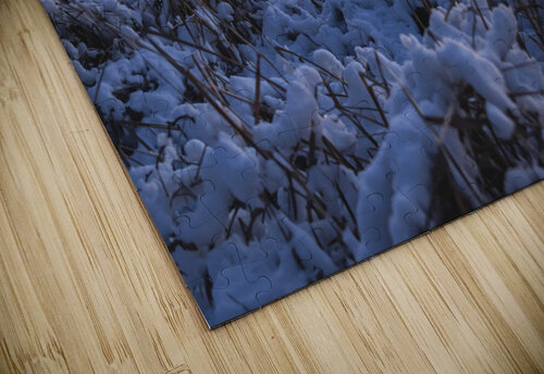 Snow Covered Grass Blair Wright puzzle