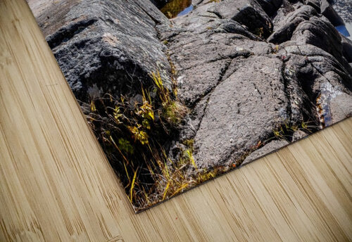River Bed Blair Wright puzzle