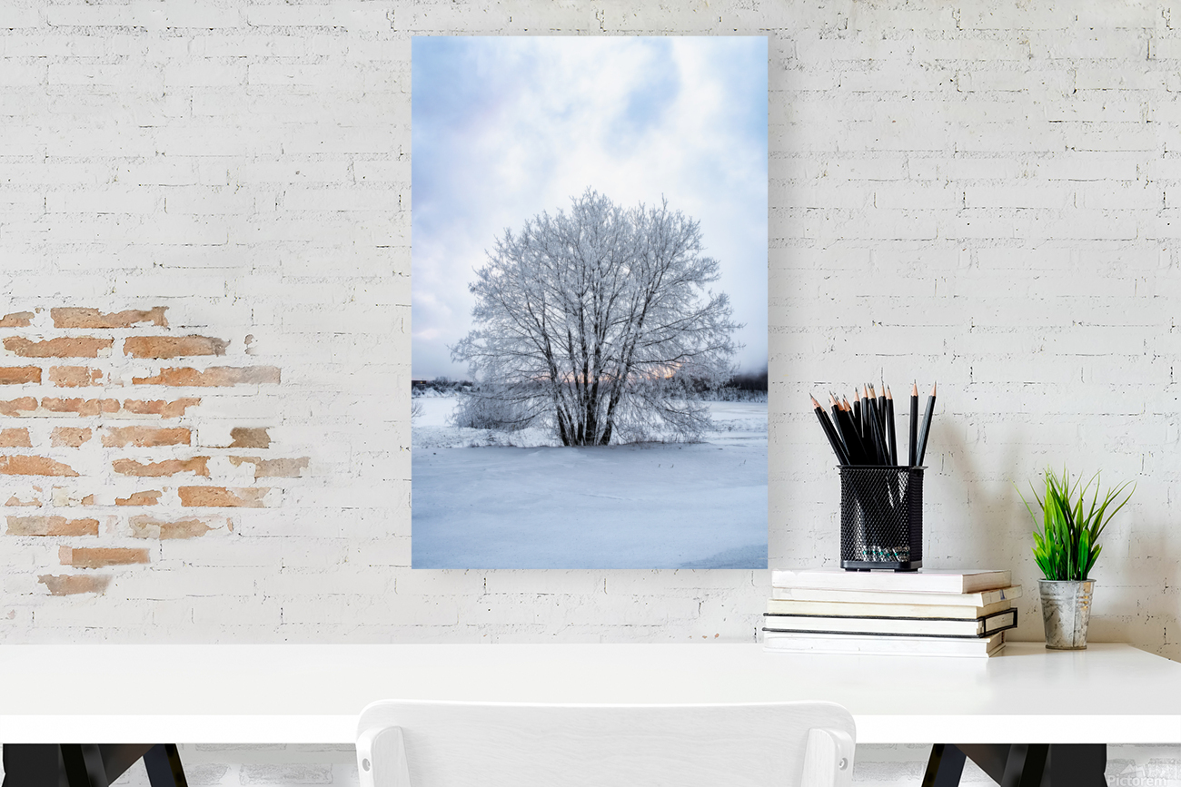 Frosty Tree Reproduction
