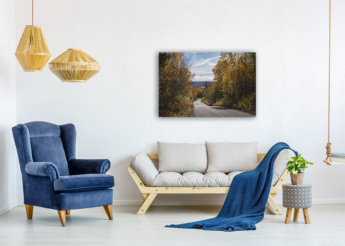 Fall Road Reproduction