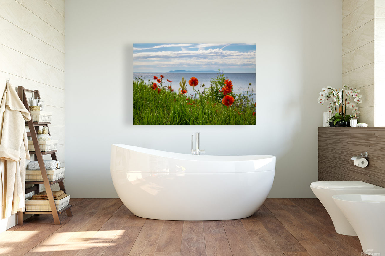 2022 Poppies Reproduction