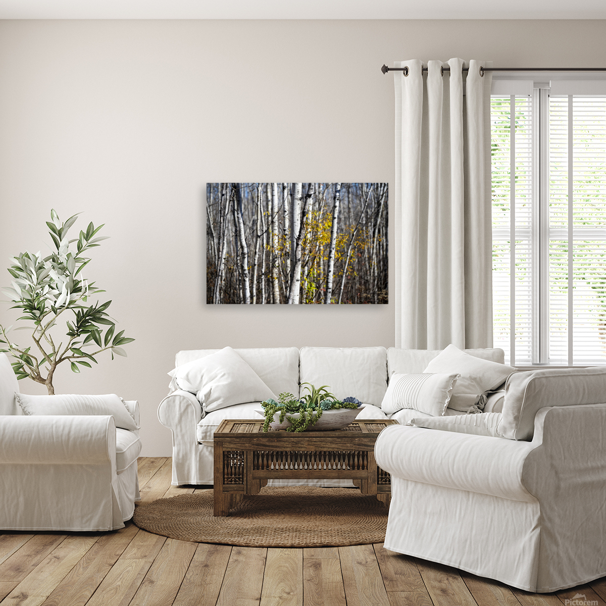 Birch Reproduction