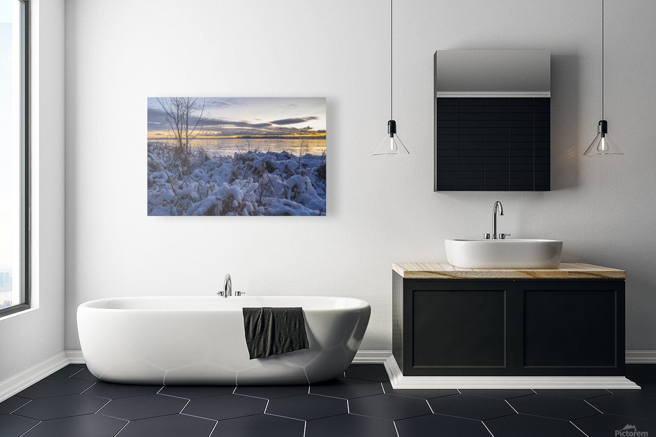 Snow Covered Grass Reproduction