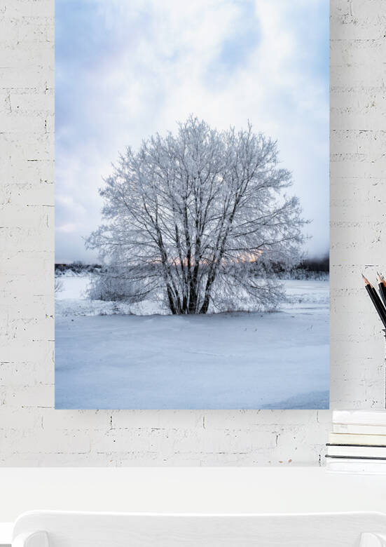 Frosty Tree Reproduction