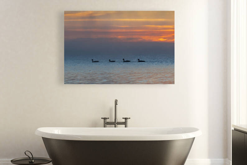 Ducks At Sunrise Reproduction