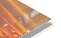 Ducks At Sunrise HD Metal print