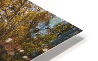 Fall Road HD Metal print