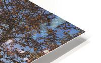 Autum HD Metal print
