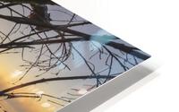 Fallen Sunrise HD Metal print