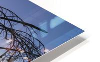 Tangled HD Metal print