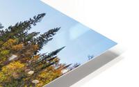 Oumet Canyon HD Metal print