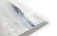 Water Logged HD Metal print
