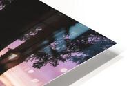 Through The Trees HD Metal print