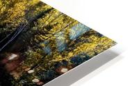 River Bed HD Metal print