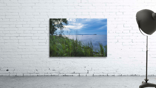 Blue Morning Wall Preview