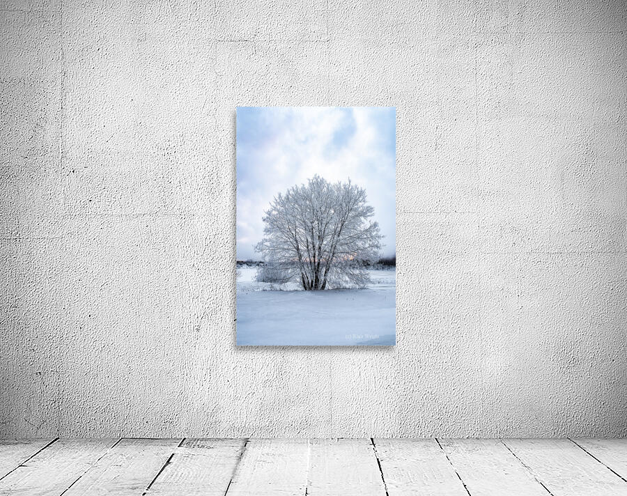 Frosty Tree Wall Preview
