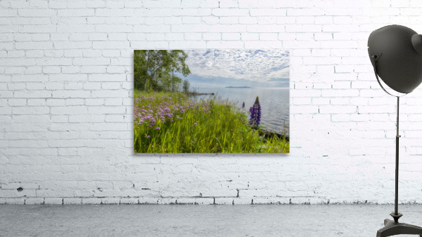 Flowers  The Giant Wall Preview