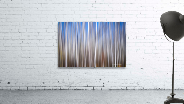 Birchwood Wall Preview