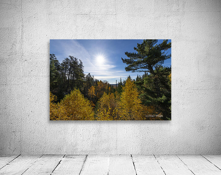 Fall Scene Wall Preview