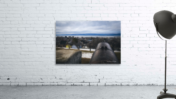 Take Aim Wall Preview