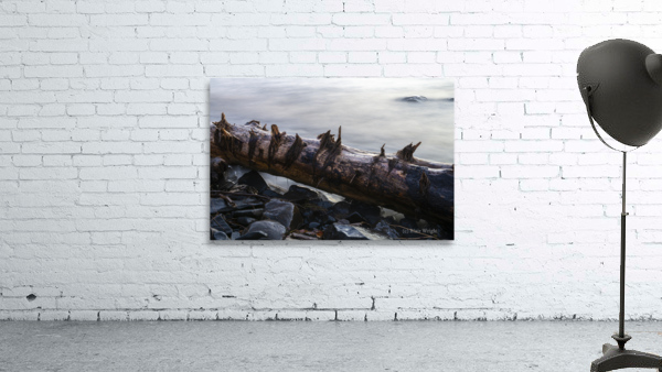 Water Logged Wall Preview
